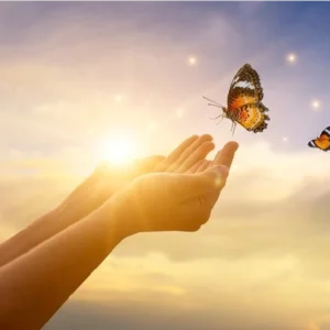 Sanación de la rosa